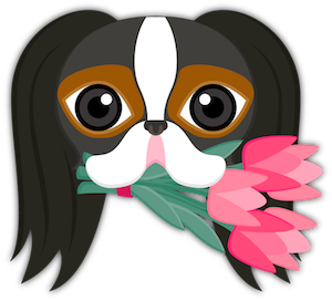 Tri Color Japanese Chin messages sticker-2