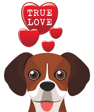 Valentine Dogs messages sticker-5