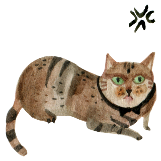 Freaky The Cat Stickers messages sticker-8