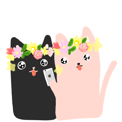 Hello Cat messages sticker-1