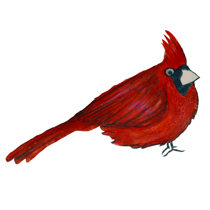 Birds of Paradise Sticker Pack messages sticker-6