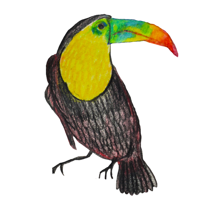 Birds of Paradise Sticker Pack messages sticker-0