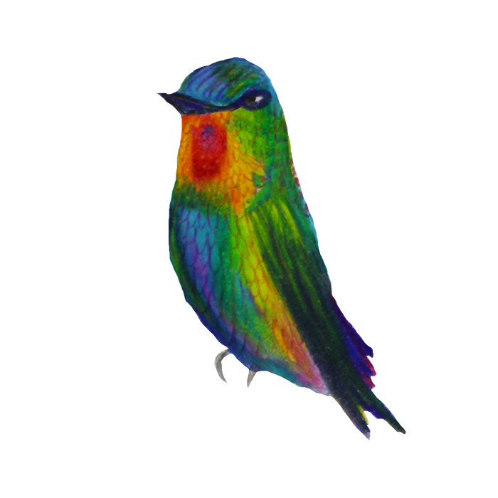 Birds of Paradise Sticker Pack messages sticker-3