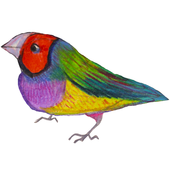 Birds of Paradise Sticker Pack messages sticker-1