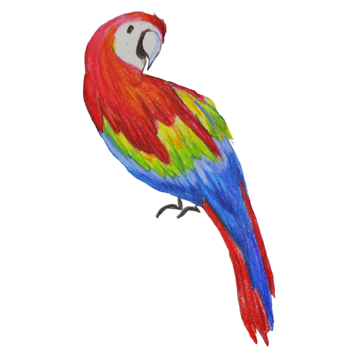 Birds of Paradise Sticker Pack messages sticker-2