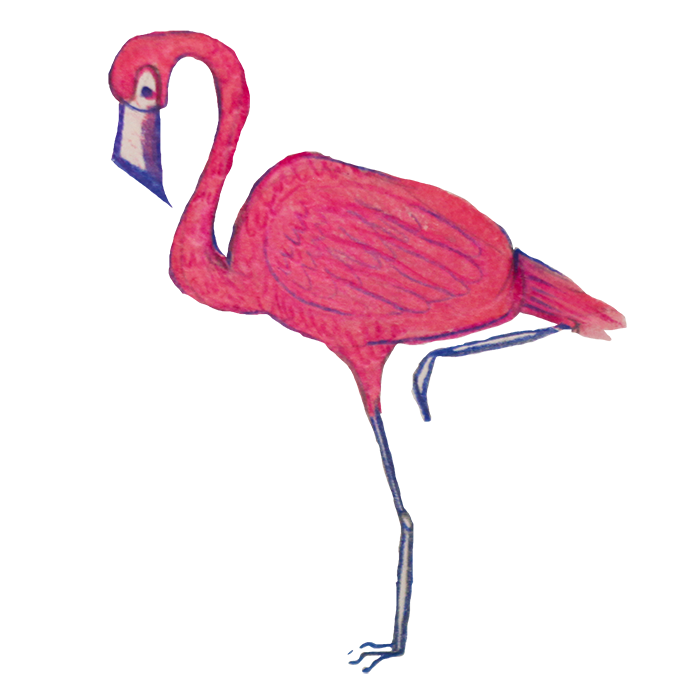 Birds of Paradise Sticker Pack messages sticker-5