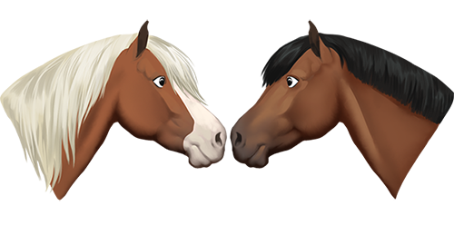 Star Stable Valentine Stickers messages sticker-2