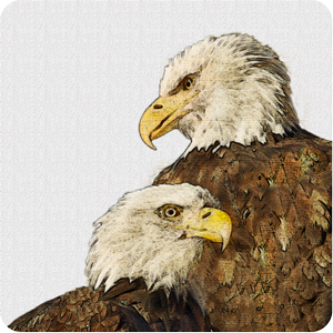 Seattle Stickies for iMessage messages sticker-2