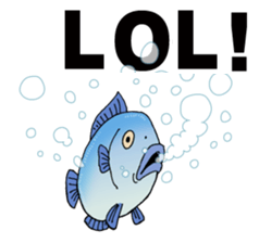 Many Animals Laugh Lol Stickers messages sticker-11