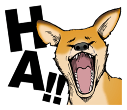 Many Animals Laugh Lol Stickers messages sticker-6