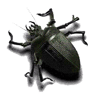 Animated Insects messages sticker-0