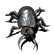 Animated Insects messages sticker-2