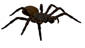 Animated Insects messages sticker-8