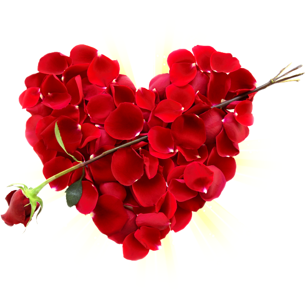 Romantic Rose Stickers messages sticker-5