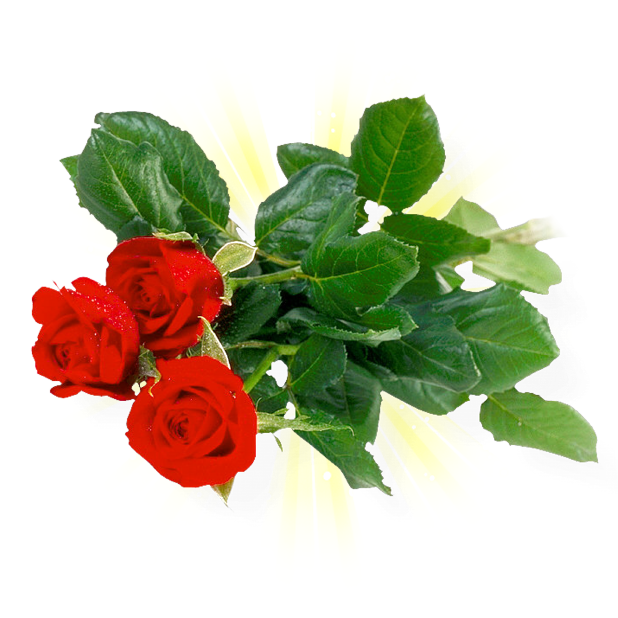 Romantic Rose Stickers messages sticker-7