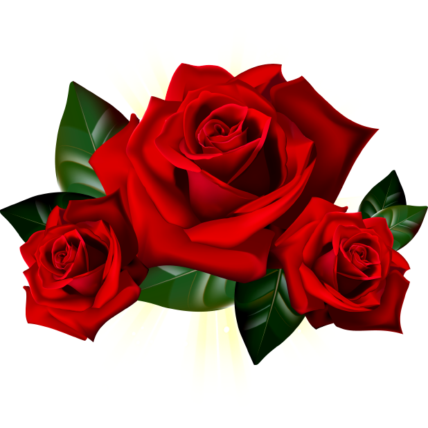 Romantic Rose Stickers messages sticker-1