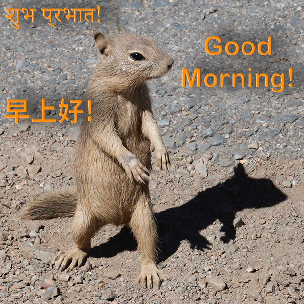 Good Morning-! messages sticker-0