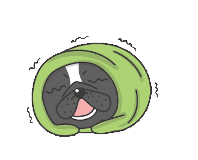 Funny Black Bulldog Animated messages sticker-10