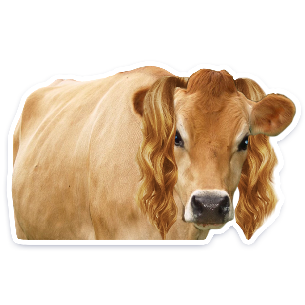 DairyPure Brand Milk Stickers messages sticker-9