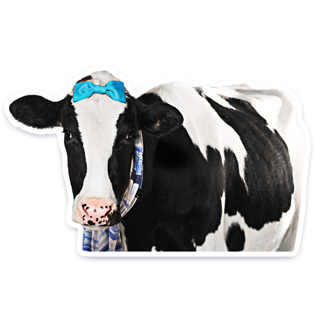 DairyPure Brand Milk Stickers messages sticker-11
