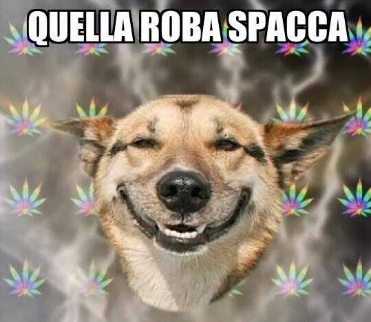 Meme Mex Italia messages sticker-5