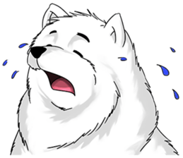 Husky Dog - Cute snow dog for iMessage messages sticker-7