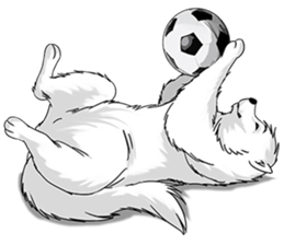 Husky Dog - Cute snow dog for iMessage messages sticker-8