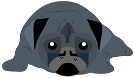 Pug Love Sticker Pack messages sticker-11
