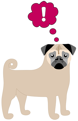 Pug Love Sticker Pack messages sticker-7