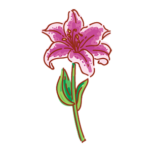 Make Bouquet! stickers for iMessage messages sticker-5