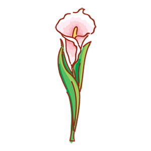 Make Bouquet! stickers for iMessage messages sticker-8