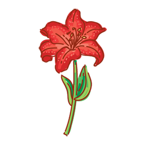 Make Bouquet! stickers for iMessage messages sticker-7
