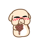 Animated Stupid Dog Stickers For iMessage messages sticker-1