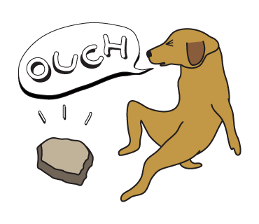 Golden Retriever Stickers for iMessage Daily Use messages sticker-9
