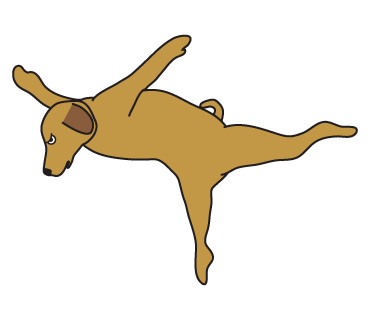 Golden Retriever Stickers for iMessage Daily Use messages sticker-8