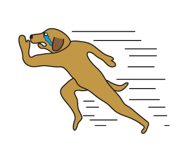 Golden Retriever Stickers for iMessage Daily Use messages sticker-6