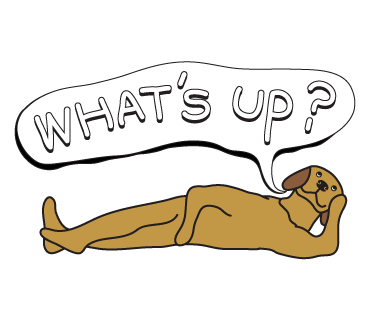 Golden Retriever Stickers for iMessage Daily Use messages sticker-4