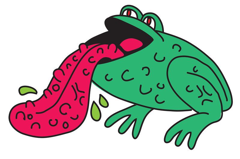 So Me « c’est magnifique » sticker pack. messages sticker-4