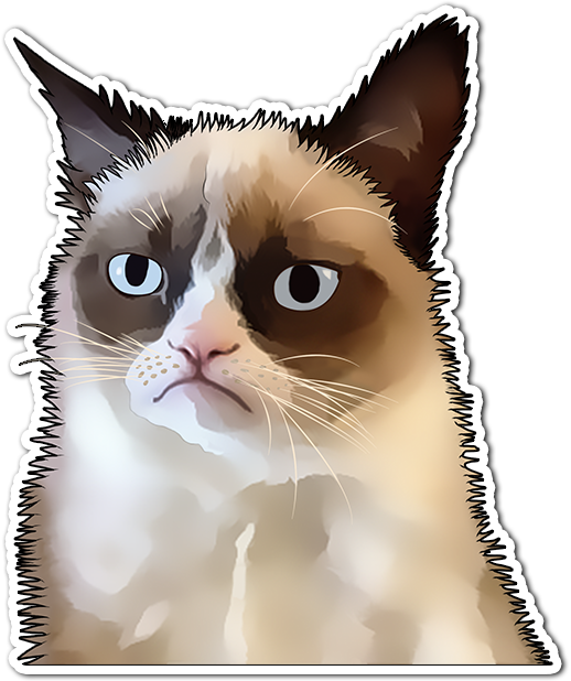 SO Memes Stickers messages sticker-3
