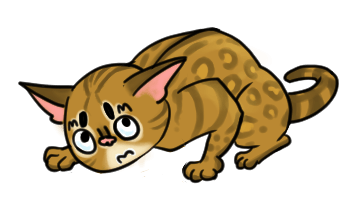 Misty the Cat. Stickers by Design73 messages sticker-10