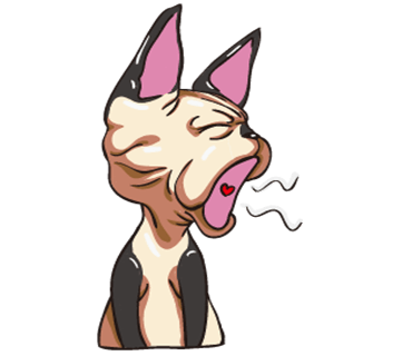 Tiger the Sphynx Cat. Stickers by Design73 messages sticker-11