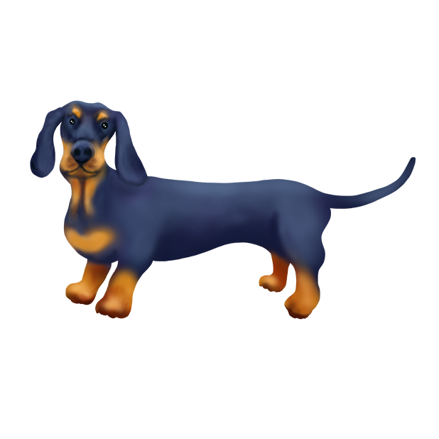 DachsMoji - Dachshund Emoji messages sticker-0