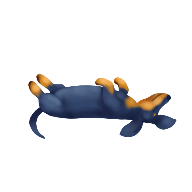 DachsMoji - Dachshund Emoji messages sticker-1