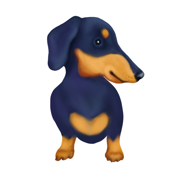 DachsMoji - Dachshund Emoji messages sticker-4