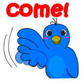 Blue Bird Stickers messages sticker-1