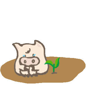 Toto Pig - Adorable Piggy Couple Animated Stickers messages sticker-10