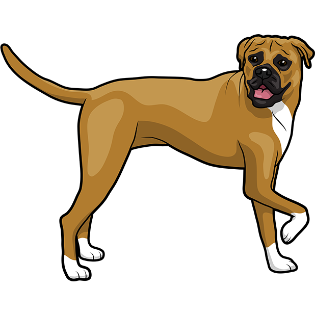 Boxermoji - Boxer Emoji & Stickers messages sticker-8