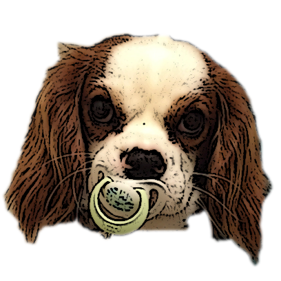 Pet Pack messages sticker-11