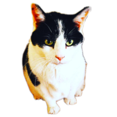 Pet Pack messages sticker-0
