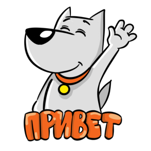 Четыре Лапы – зоомагазин messages sticker-1